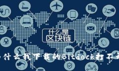 为什么我下载的Bitdock打不开？