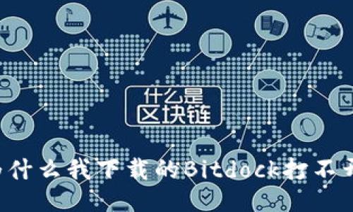 为什么我下载的Bitdock打不开？