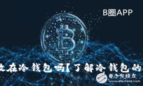 : xch可以放在冷钱包吗？了解冷钱包的优势与风险