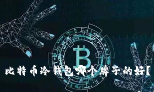 比特币冷钱包哪个牌子的好？