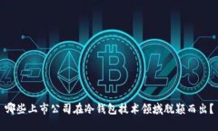 哪些上市公司在冷钱包技术领域脱颖而出？