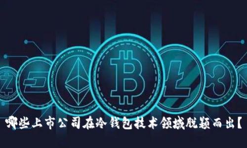哪些上市公司在冷钱包技术领域脱颖而出？