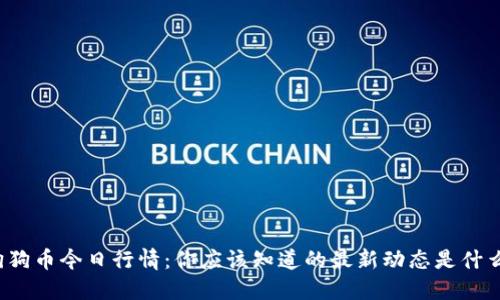 狗狗币今日行情：你应该知道的最新动态是什么？