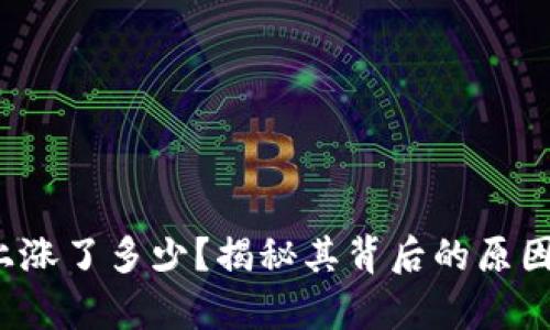 狗狗币2020年上涨了多少？揭秘其背后的原因与未来发展前景