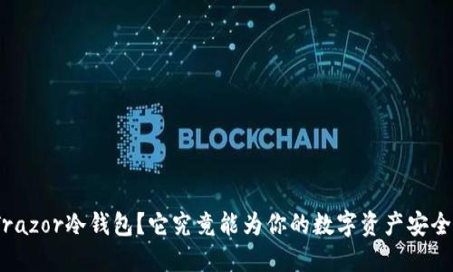 : 为什么选择Trazor冷钱包？它究竟能为你的数字资产安全提供哪些保障？