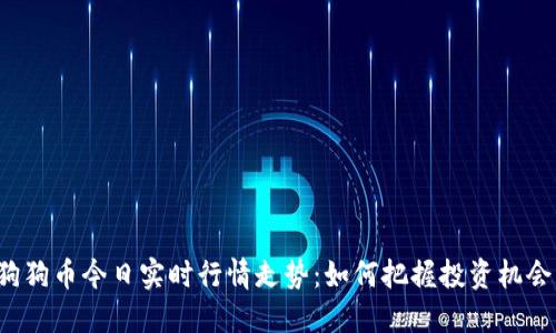 狗狗币今日实时行情走势：如何把握投资机会？