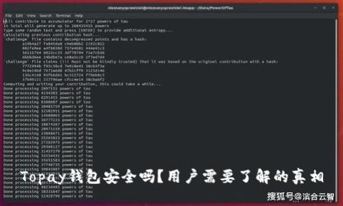Topay钱包安全吗？用户需要了解的真相