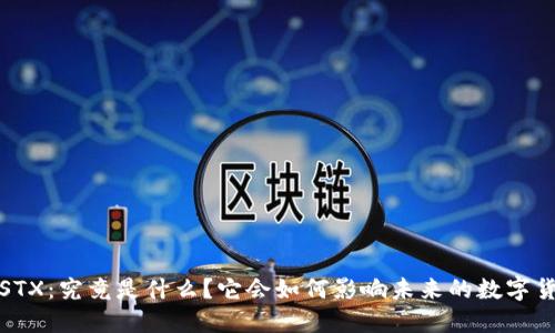  中本聪STX：究竟是什么？它会如何影响未来的数字货币世界？