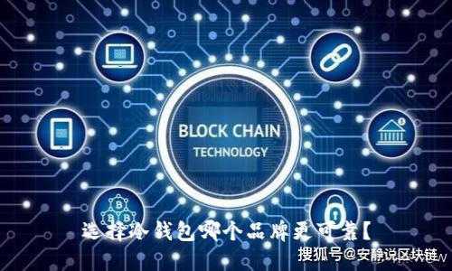 选择冷钱包哪个品牌更可靠？