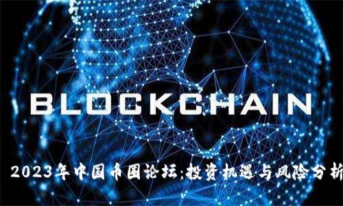  2023年中国币圈论坛：投资机遇与风险分析