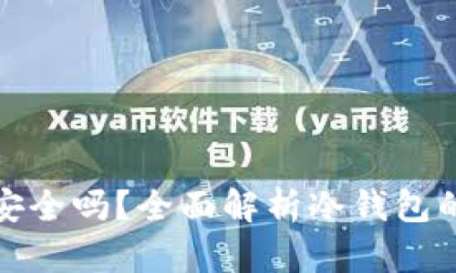 : 冷钱包电子钱包安全吗？全面解析冷钱包的安全性及使用指南