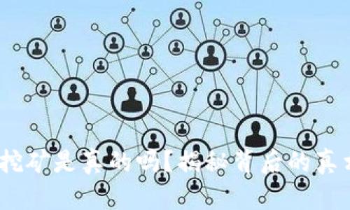  西姆冷钱包挖矿是真的吗？揭秘背后的真相与潜在风险