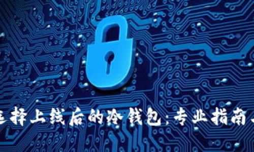 如何选择上线后的冷钱包：专业指南与推荐
