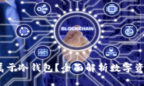 : U盘是否属于冷钱包？全面解析数字资产安全存储