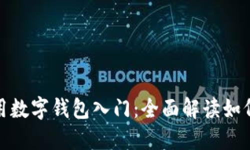 数字钱包如何用数字钱包入门：全面解读如何使用数字钱包