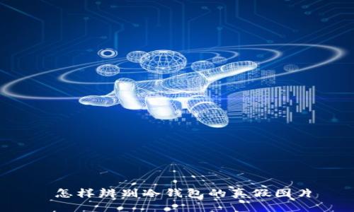  怎样辨别冷钱包的真假图片