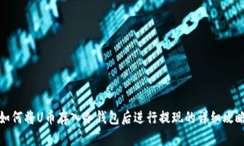如何将U币存入冷钱包后进行提现的详细攻略