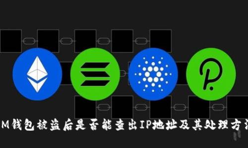 IM钱包被盗后是否能查出IP地址及其处理方法