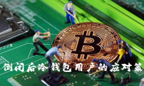 库神公司倒闭后冷钱包用户的应对策略与选择