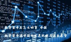 数字货币是怎么回事 中国数字货币在中国的发展